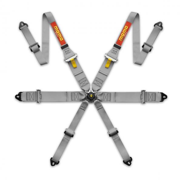 SICHERHEITSGURT PRO DRIVER 6P 2"/3" FHR-Grau